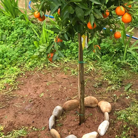 Casa vacanze House Koula Agios Nikolaos (Mani)