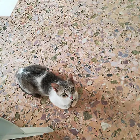 House Koula * Agios Nikolaos (Mani)