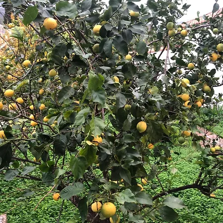 House Koula Holiday home Agios Nikolaos (Mani)