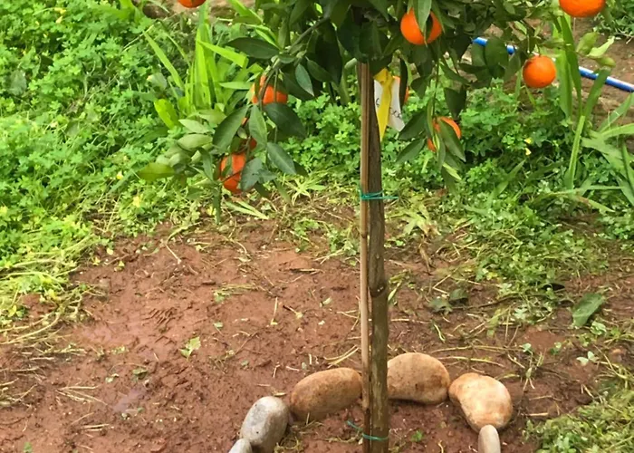 Semesterbostad House Koula Agios Nikolaos (Mani)