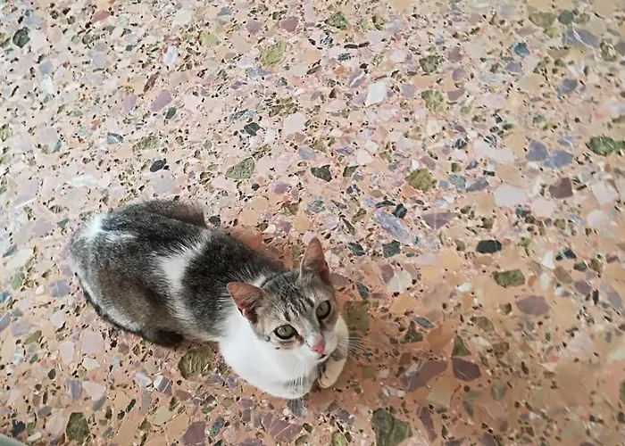 House Koula * Agios Nikolaos (Mani)