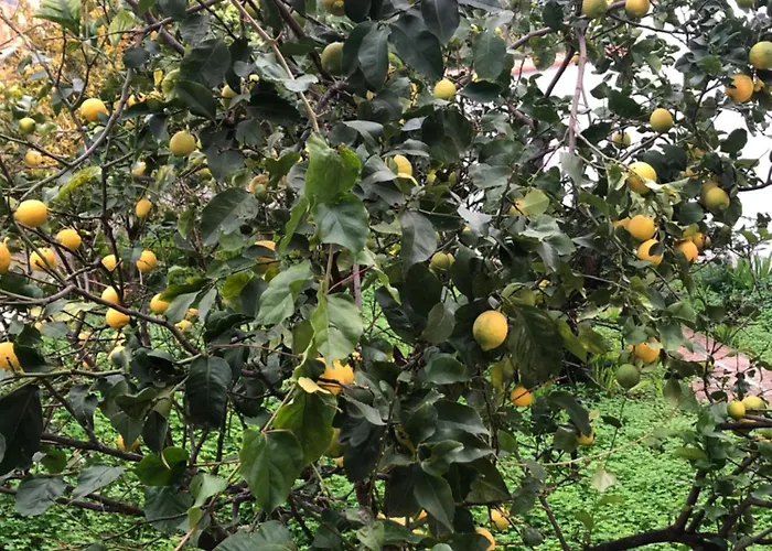 House Koula Casa de Férias Agios Nikolaos (Mani)